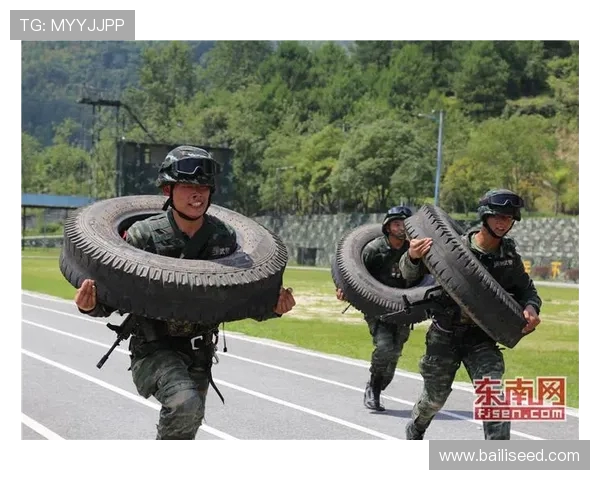 数据分析：杭州攀岩队的战术表现